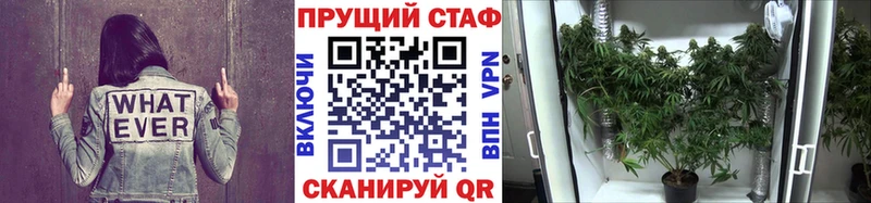 Где можно купить наркотики Сасово Амфетамин  Меф  ГАШ  Псилоцибиновые грибы  МДМА  COCAIN 