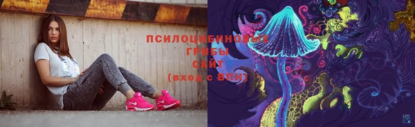 спиды Аркадак