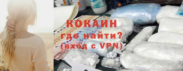 гашик Арсеньев