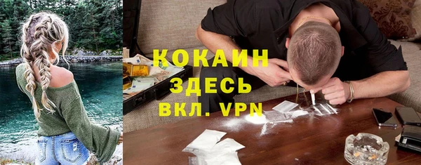 гашик Арсеньев