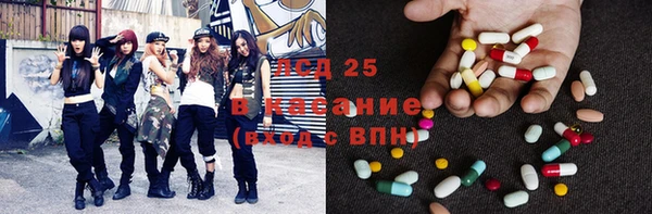 спиды Аркадак