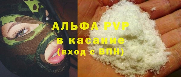 гашик Арсеньев